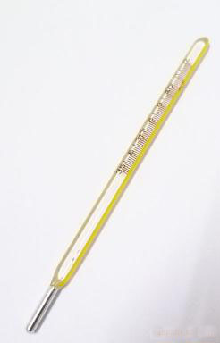 Mercury Thermometer